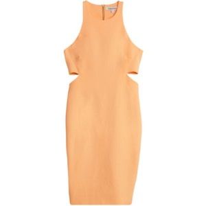 NWT Elizabeth and James Lela Cutout Dress Size 6